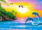 93203-Q<br>A Year in the Tropics
