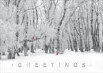 AA0122-Q<br>Winter's Special Visitors