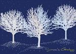 AA1117-T<br>Nature's Sparkling Impressions