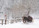 AA1137-R<br>Snowy Sleigh Ride