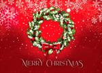 AA2133-Q<br>Frosty Pine Wreath Christmas