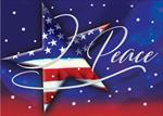 AA3230-Q<br>Patriotic Star