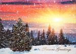 4040-P<br>Snowy Golden Sunrise